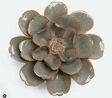 Load image into Gallery viewer, Moss Grey Oxeye Daisy