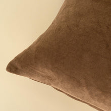 Load image into Gallery viewer, Caramel Vera Velvet Lumbar Pillow