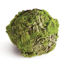 Load image into Gallery viewer, Mossy Lichen Orb