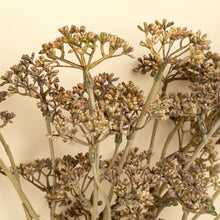 Load image into Gallery viewer, Meadow Grass Bouquet