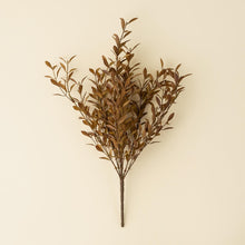 Load image into Gallery viewer, Harvest Willow Leaf Heather