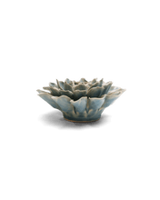 Load image into Gallery viewer, Powder Blue Aphrodite Dahlia | CHIVE