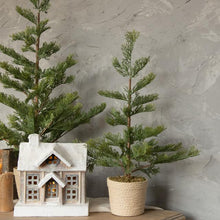 Load image into Gallery viewer, Pine Tree with Braided Pot