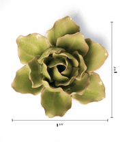 Load image into Gallery viewer, Peridot Stargazer Lily | CHIVE