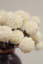 Load image into Gallery viewer, Cream Morandi Bloom Bouquet