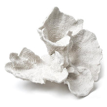 Load image into Gallery viewer, Large Flower Coral