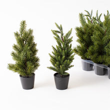 Load image into Gallery viewer, Mini Cedar Trees