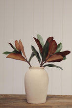 Load image into Gallery viewer, Magnolia Leaf Branch
