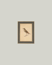 Load image into Gallery viewer, Bird Framed Antique Art