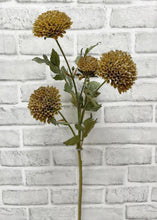 Load image into Gallery viewer, Brown Green Scabious Spray