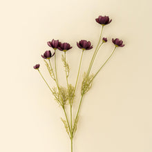 Load image into Gallery viewer, Deep Purple Calliopsis Spray