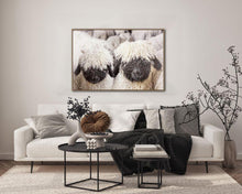 Load image into Gallery viewer, Woolly Companions *in store pickup only