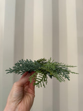 Load image into Gallery viewer, 6" Mini Northern Cedar Candle Ring