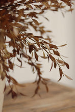 Load image into Gallery viewer, Harvest Willow Leaf Heather