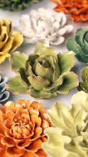 Load image into Gallery viewer, Peridot Stargazer Lily | CHIVE