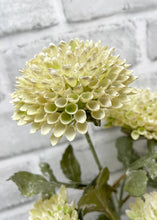 Load image into Gallery viewer, Cream Scabious Spray