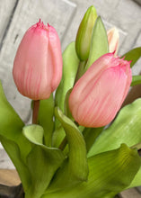 Load image into Gallery viewer, 12" Real Touch Light Pink Tulip Bundle