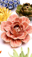 Load image into Gallery viewer, Champagne Pink Rose | CHIVE
