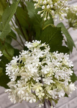 Load image into Gallery viewer, White Snowball Bundle