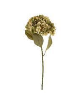 Load image into Gallery viewer, Faded Green Hydrangea Floral Stem