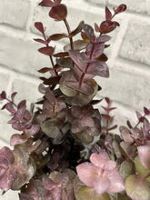 Load image into Gallery viewer, Burgundy Eucalyptus Bundle
