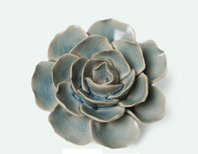 Load image into Gallery viewer, Powder Blue Amandine Ranunculus