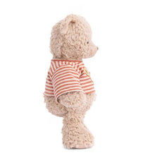 Load image into Gallery viewer, Colin Teddy Bear