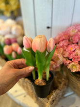 Load image into Gallery viewer, Light Pink Potted Tulips