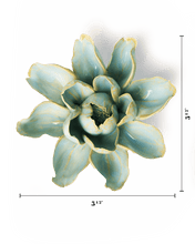 Load image into Gallery viewer, Robin's Egg Blue Aurora Water Lily | CHIVE