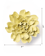 Load image into Gallery viewer, Lime Yellow Lakspur |CHIVE