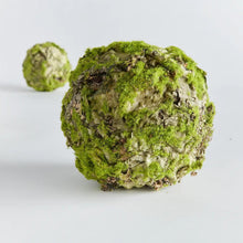 Load image into Gallery viewer, Mossy Lichen Orb
