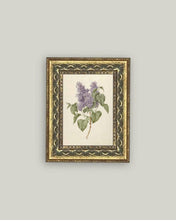 Load image into Gallery viewer, Lilac Branch Framed Antique Art