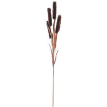 Load image into Gallery viewer, Bulrush Spray