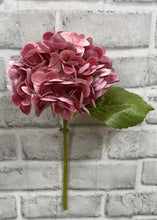 Load image into Gallery viewer, Rose Fresh Touch Hydrangea