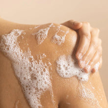 Load image into Gallery viewer, Body Wash | Beauty from Bees