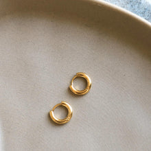 Load image into Gallery viewer, The Micro Hoops