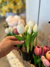 Load image into Gallery viewer, White Potted Tulips