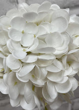 Load image into Gallery viewer, White Fresh Touch Hydrangea