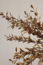Load image into Gallery viewer, Harvest Willow Leaf Heather