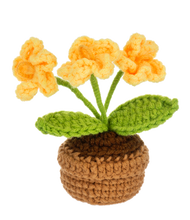 Load image into Gallery viewer, Knit Mini Flower Pot
