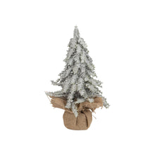 Load image into Gallery viewer, Snowy Fir Tree with Burlap Base