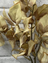 Load image into Gallery viewer, Cream Dried Leaf Spray