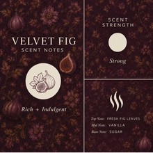 Load image into Gallery viewer, Velvet Fig Laundry Powder