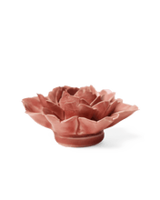 Load image into Gallery viewer, Champagne Pink Rose | CHIVE