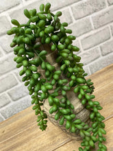 Load image into Gallery viewer, Fresh Touch Succulent Pick