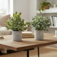 Load image into Gallery viewer, Faux Plant in Cement Pot
