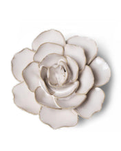 Load image into Gallery viewer, Ivory Amandine Ranunculus | CHIVE