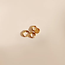 Load image into Gallery viewer, Meadow Earrings