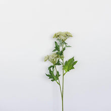 Load image into Gallery viewer, Lace Flower