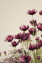 Load image into Gallery viewer, Deep Purple Calliopsis Spray